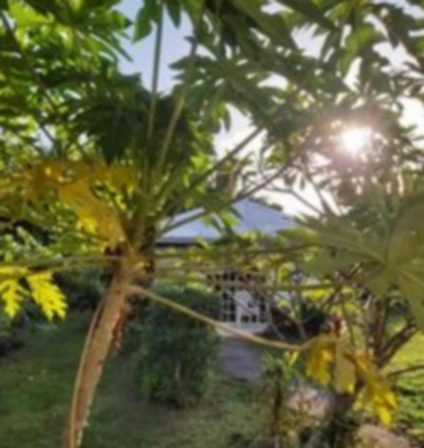 Chez Mimi Et Daniel Villa Bora Bora Eksteriør bilde